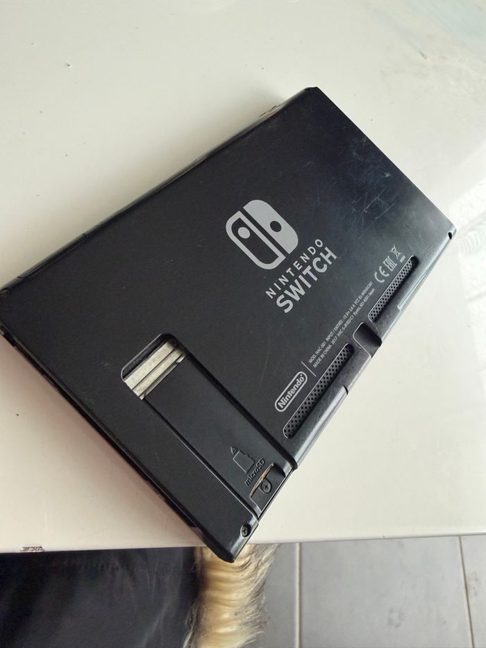 Switch - photo numéro 4