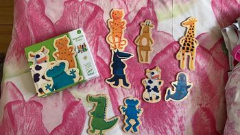 Jeu bois magnétique