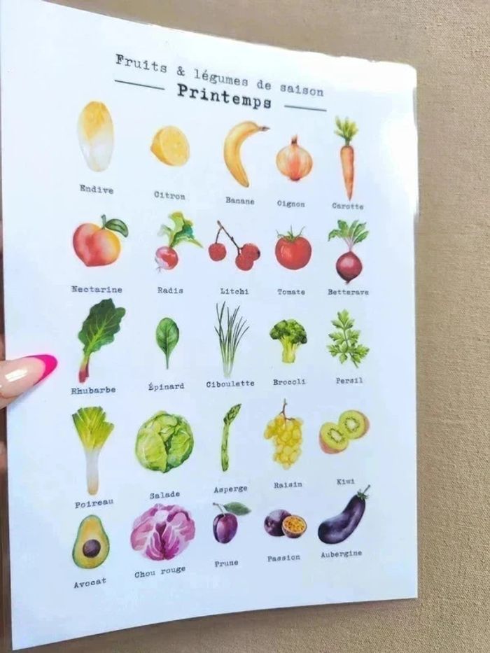Fruits et légumes de saison du Printemps A4 papier 250G - photo numéro 3