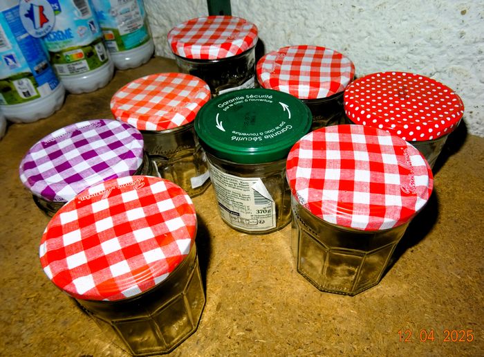 9 bocaux conserve confiture type Bonne Maman - photo numéro 3
