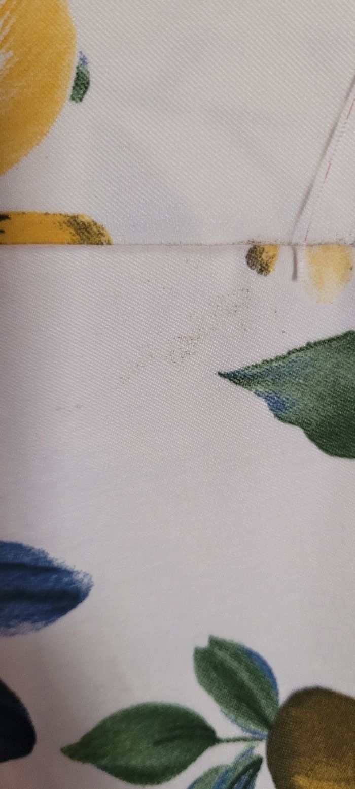 Pantacourt - photo numéro 4