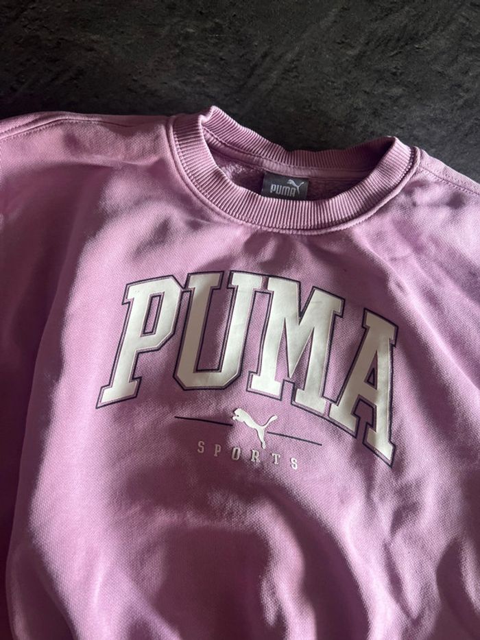 Pull court - photo numéro 2