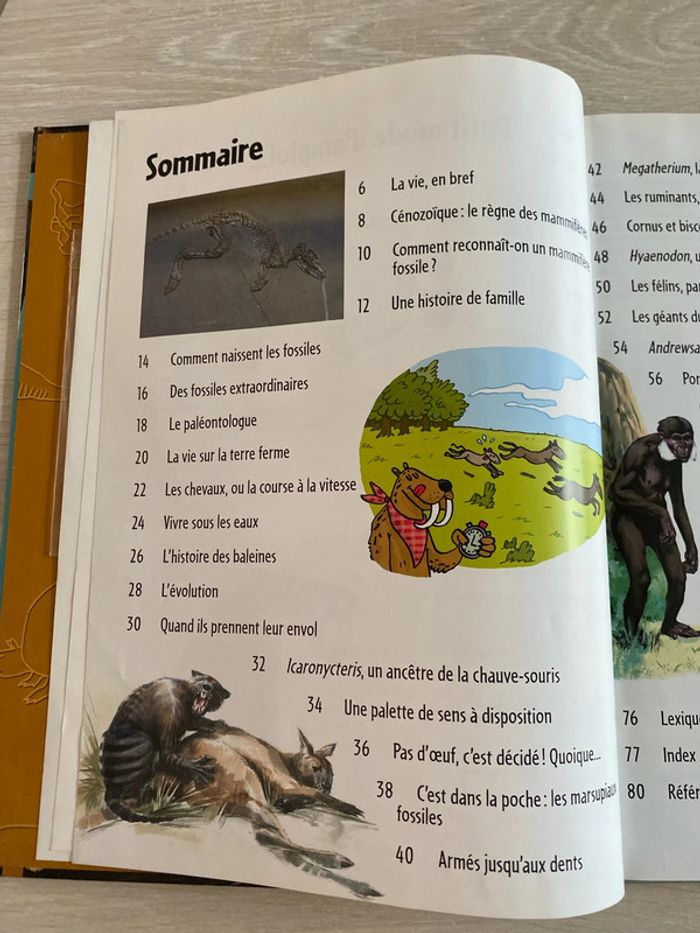 Livre et DVD Les mammifères disparus - photo numéro 6