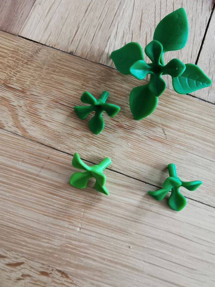 Lot plantes