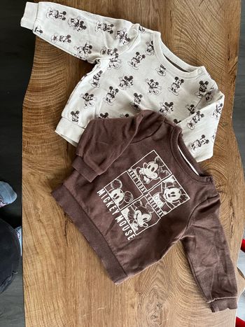 Lot 2 pulls molletonnés Mickey