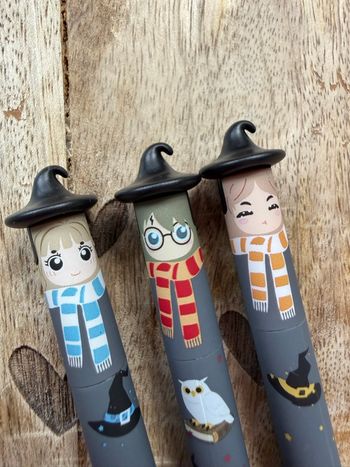 Magnifique stylos effaçables style légami passion kawai