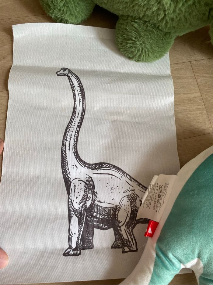 Lot de deux peluche et une affiche dinosaure - photo numéro 2