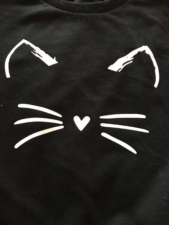 Sweat chat - Shein - 10 ans - photo numéro 3