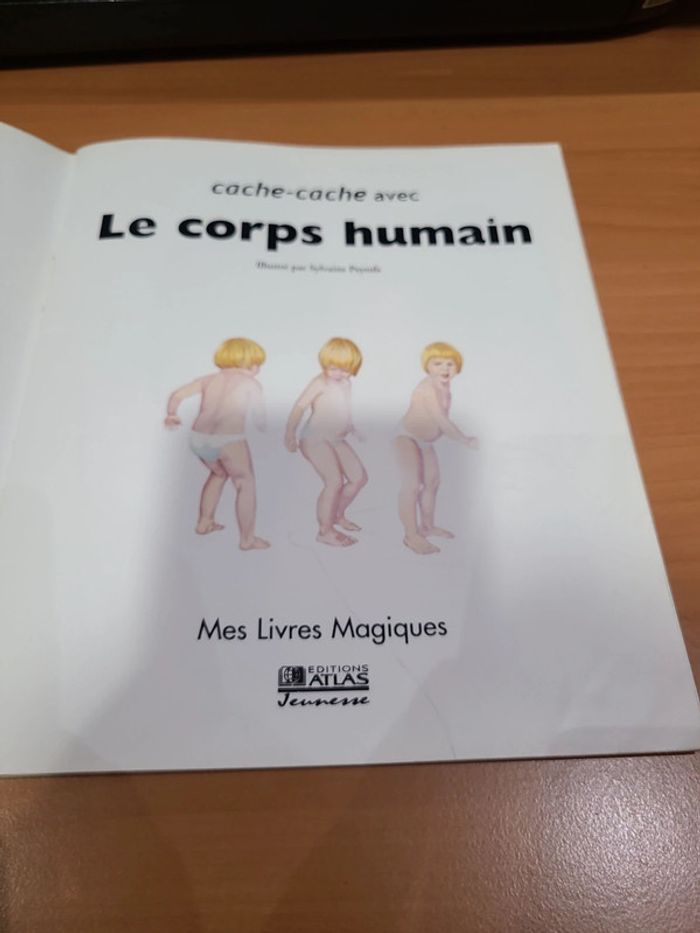 Cache cache avec corps humain - photo numéro 3