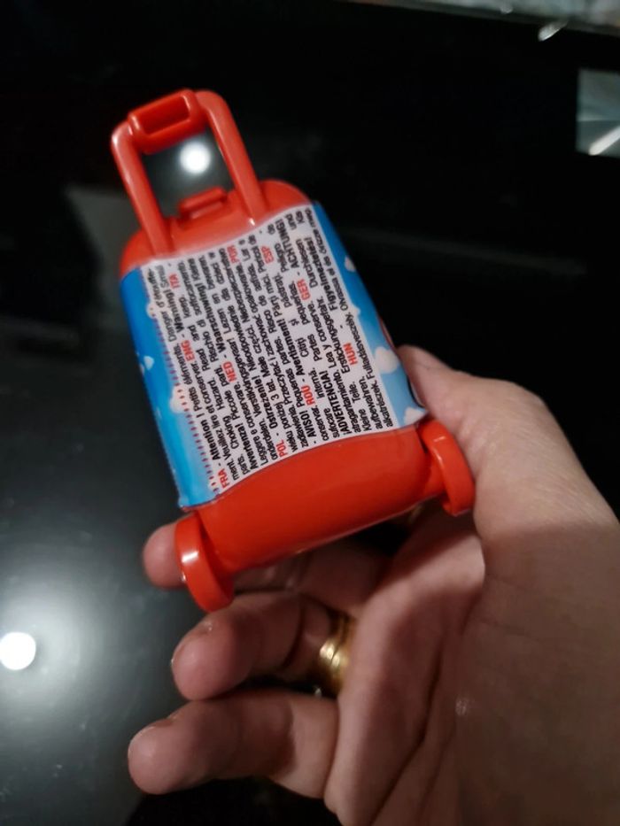 Travel puppies - photo numéro 4