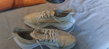 Basket  femme Zoom Grafity