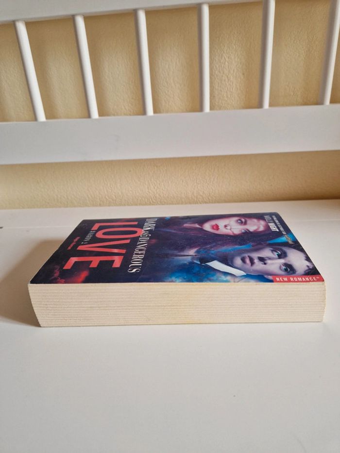 Livre romance fantastique - photo numéro 5