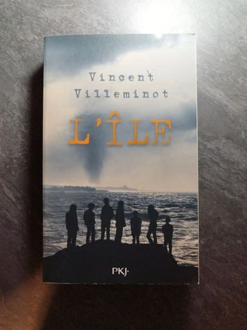 Livre " l'île" de Vincent Villeminot