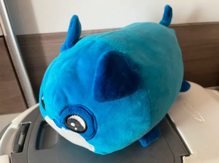 Grodou chien bleu
