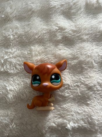 Little petshop kangourou #1111