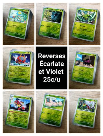 Reverses Bloc  Écarlate et Violet