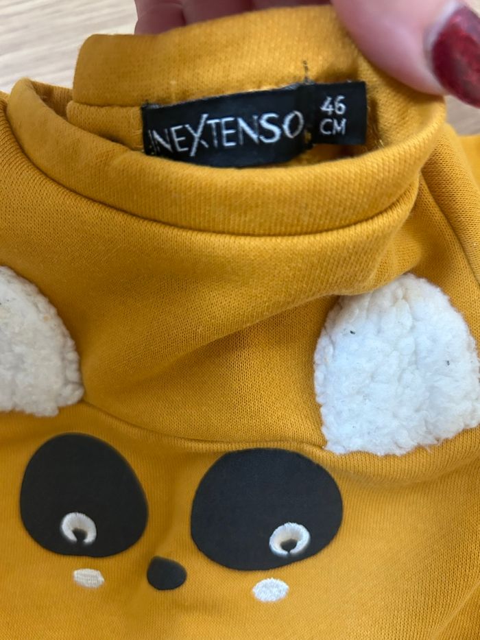 Pulls - photo numéro 3