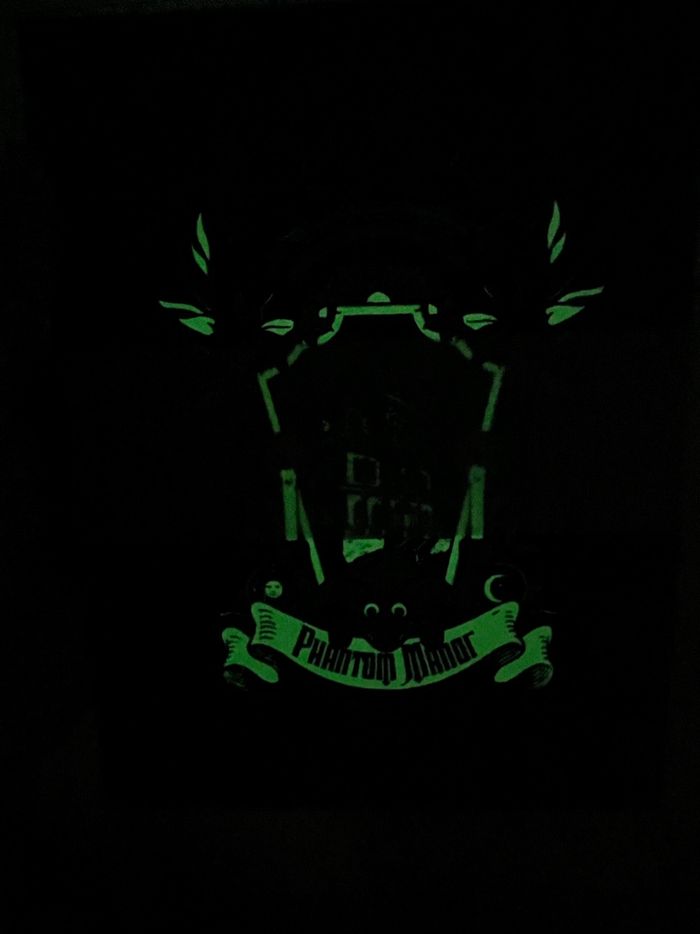 Carnet A5 Phantom Manor phosphorescent - photo numéro 5