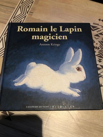 Romain le lapin magicien
