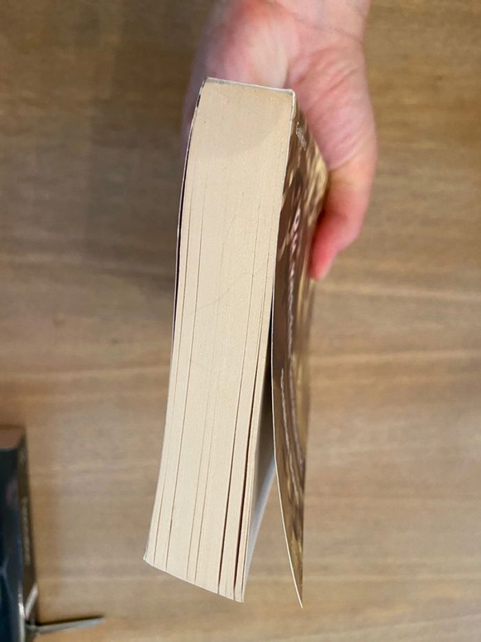 Où vas-tu, Sunshine ? Siobhan Dowd Éditions Gallimard - photo numéro 5