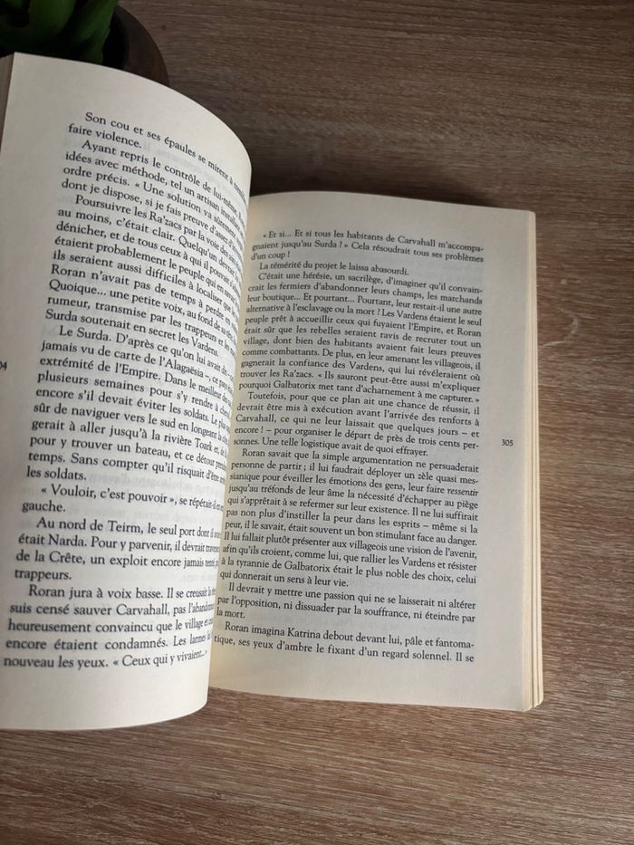 Livre jeunesse L’ainé 2 Christopher Paolini bayard jeunesse - photo numéro 2