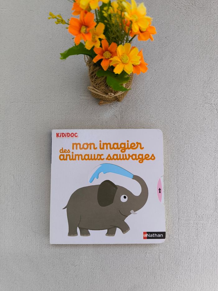 Livre Kididoc Mon imagier des animaux sauvages Nathan
