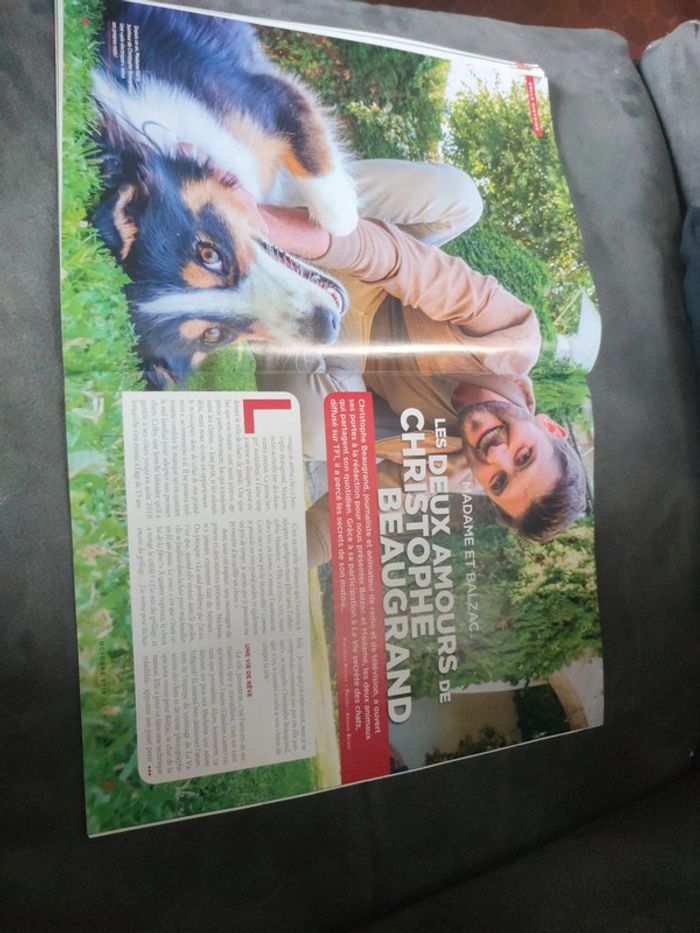 Magazine 30 millions d'amis numéro 377 octobre 2019 - photo numéro 9