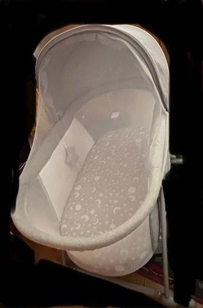 Cododo - photo numéro 2