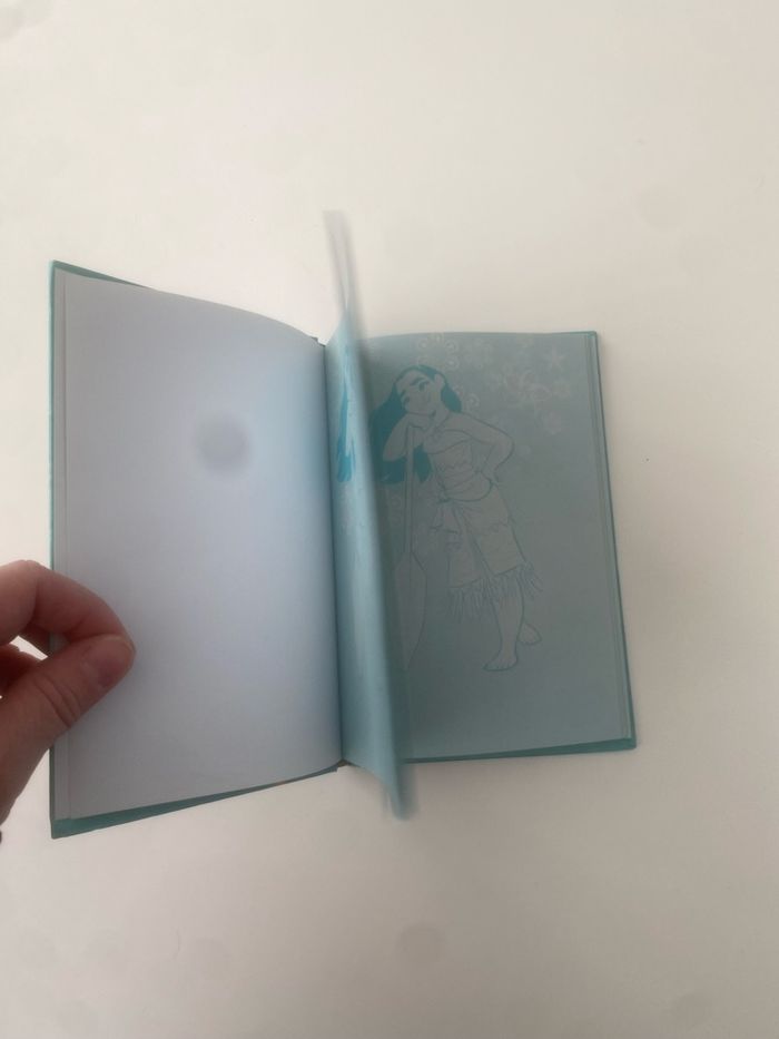 Carnet Vaiana - photo numéro 4