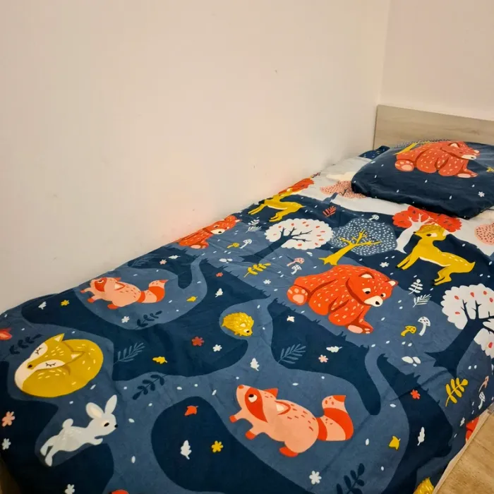 Parure de lit, drap et taie d’oreiller - photo numéro 2