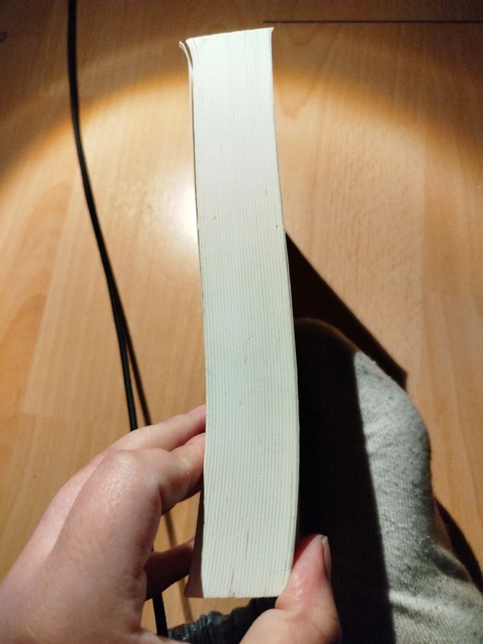 Une irrésistible envie de sucré roman - photo numéro 4