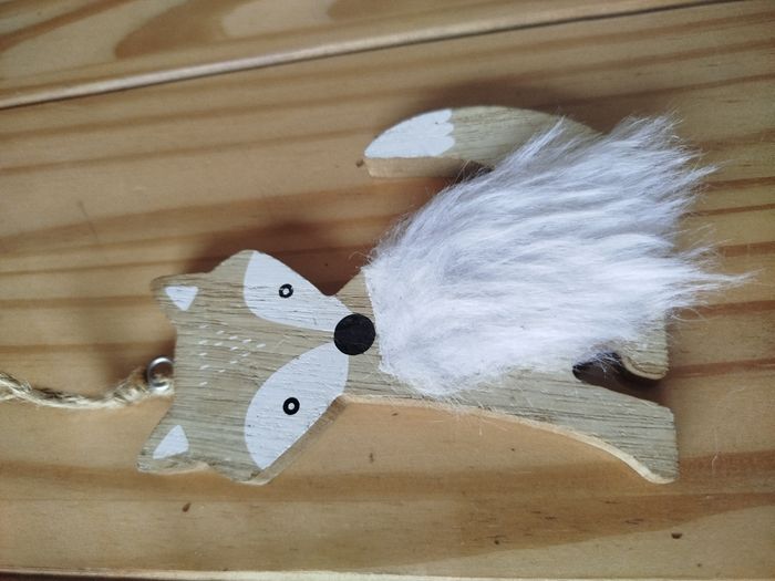 Renard - photo numéro 4