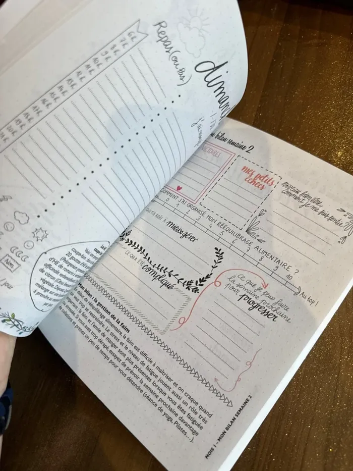 Livre mon cahier, objectif minceur en 12 semaines - photo numéro 5