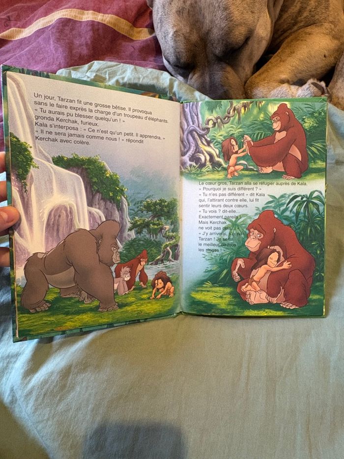 Tarzan - photo numéro 2