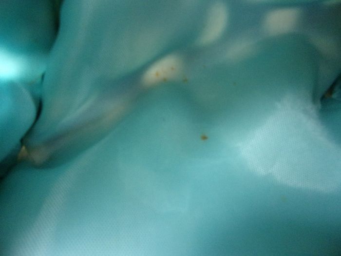 Trousse de toilette - photo numéro 3