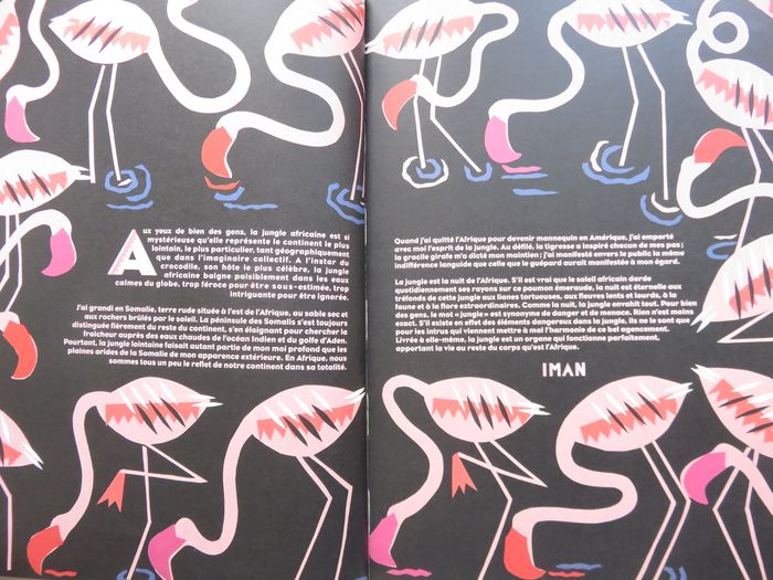 Album jeunesse 0-3 ans : Alphabet de la jungle  (gallimard) - photo numéro 3