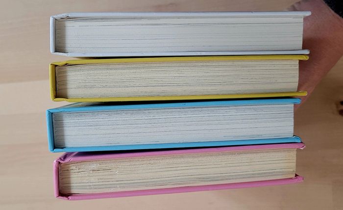 Lot 4 livres "Princesse Catastrophe " - photo numéro 5