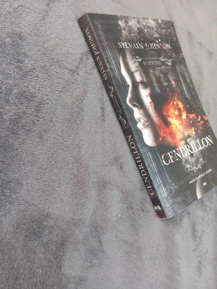 Cendrillon - photo numéro 3