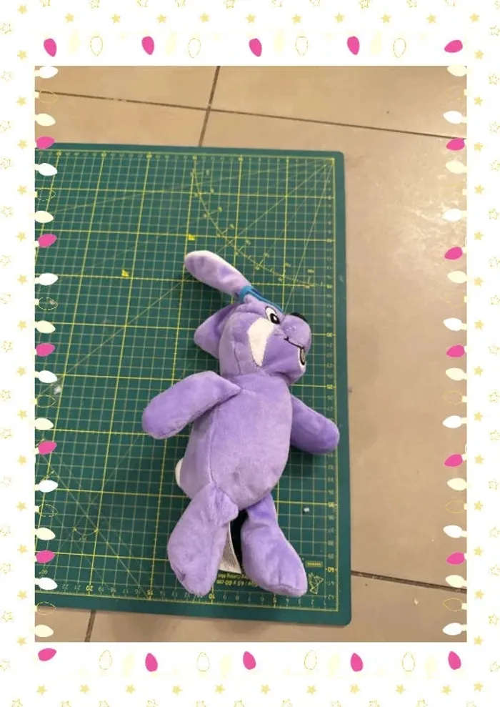 Lapin milka - photo numéro 2