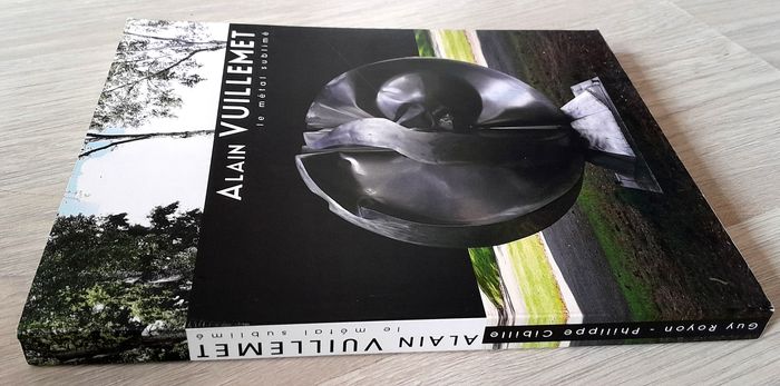 Alain Vuillemet le métal sublimé - photo numéro 2