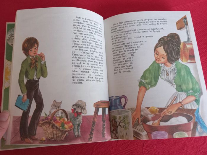 Livre pour enfant Heidi et la fête - photo numéro 3