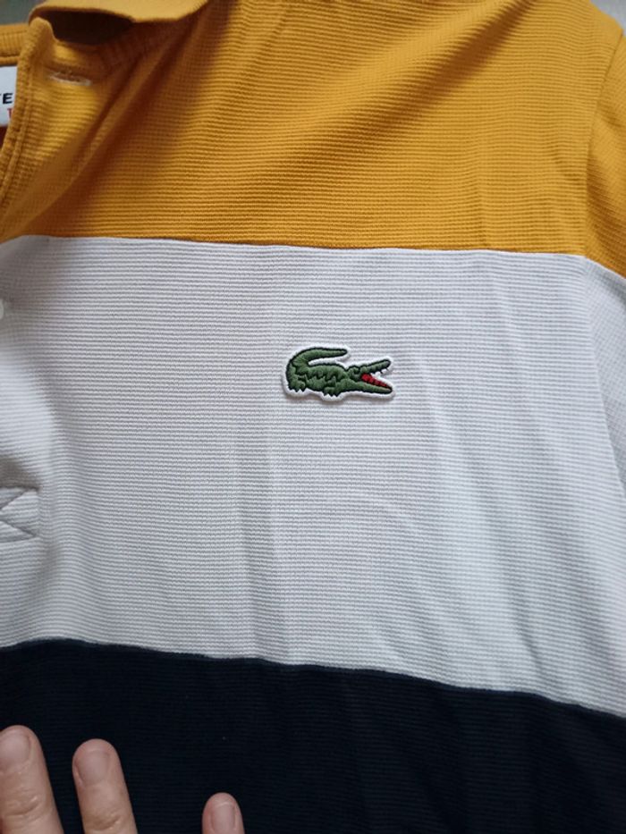 Polo Lacoste homme - photo numéro 3