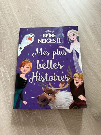 Grand livre reine des neiges 2