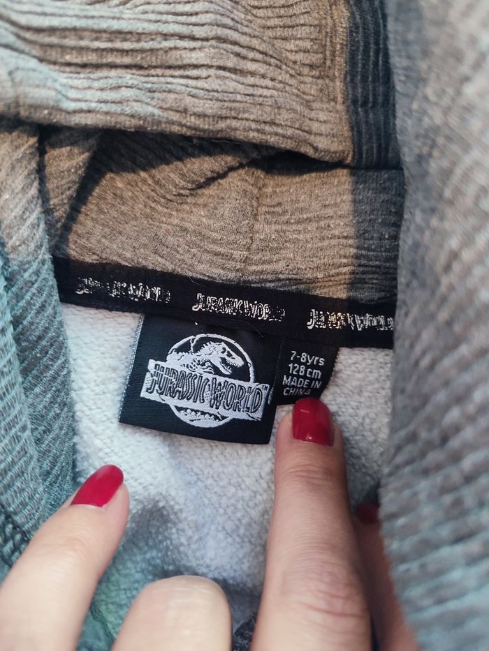 Sweat à capuche Jurassic world - photo numéro 4