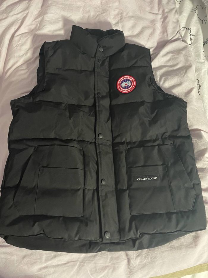 Canada goose - photo numéro 6