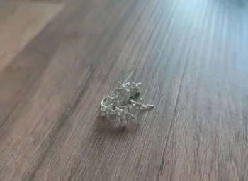 Boucles d'oreilles étoile neuve