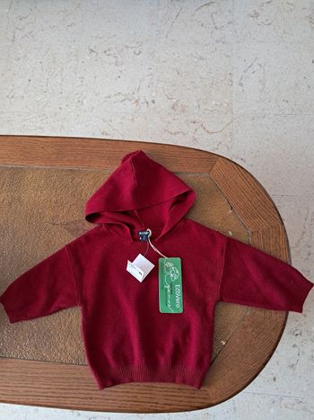 Pull à capuche 1 mois