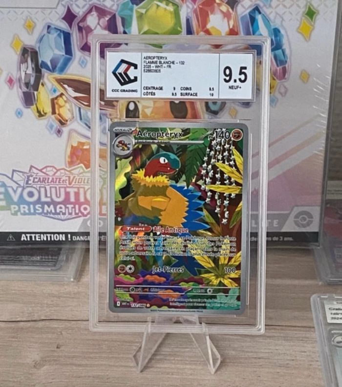 Aéroptéryx 132/086 CCC 9.5