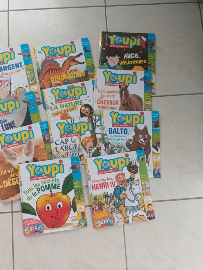 Lot 11 livres youpi j'ai compris 5-8 ans - photo numéro 4