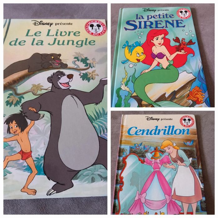 Lot livre disney - photo numéro 3